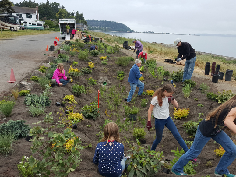 Many people working on planting a garden.