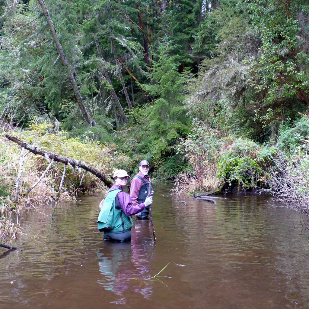 Two fisherman doing a chum spawning survey.