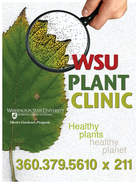 WSU Plant Clinic flyer. 