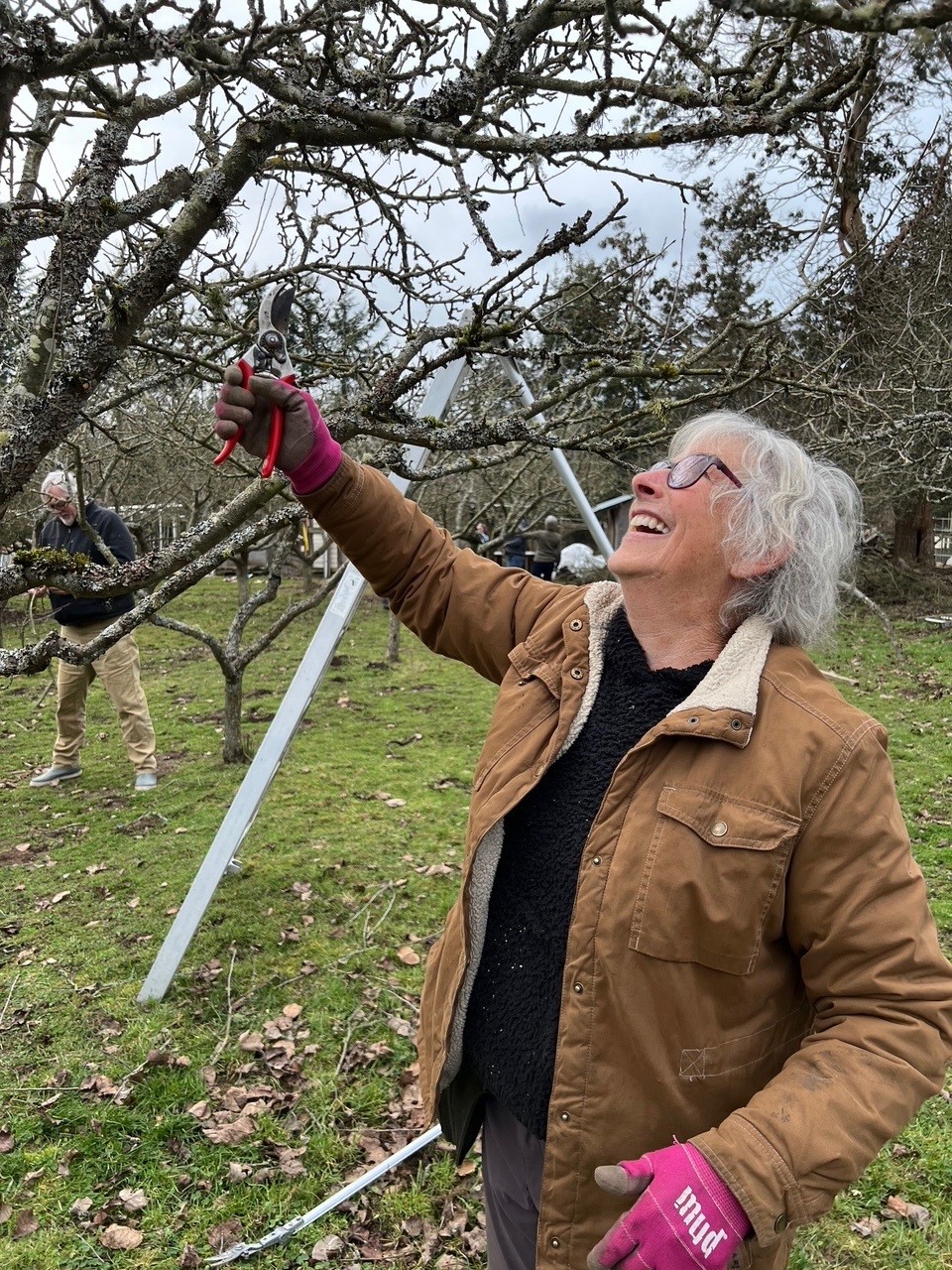 woman holding pruners next to an old apple tree