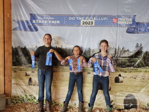Three Jefferson County 4-H'ers pose with ribbons at the Washington State Fair