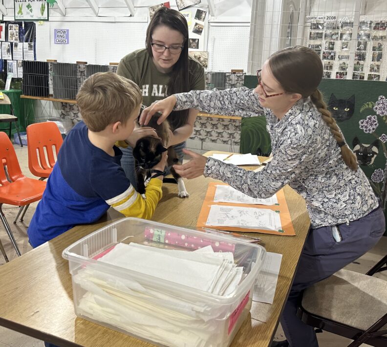 Youth with cat interacting with two adult judges