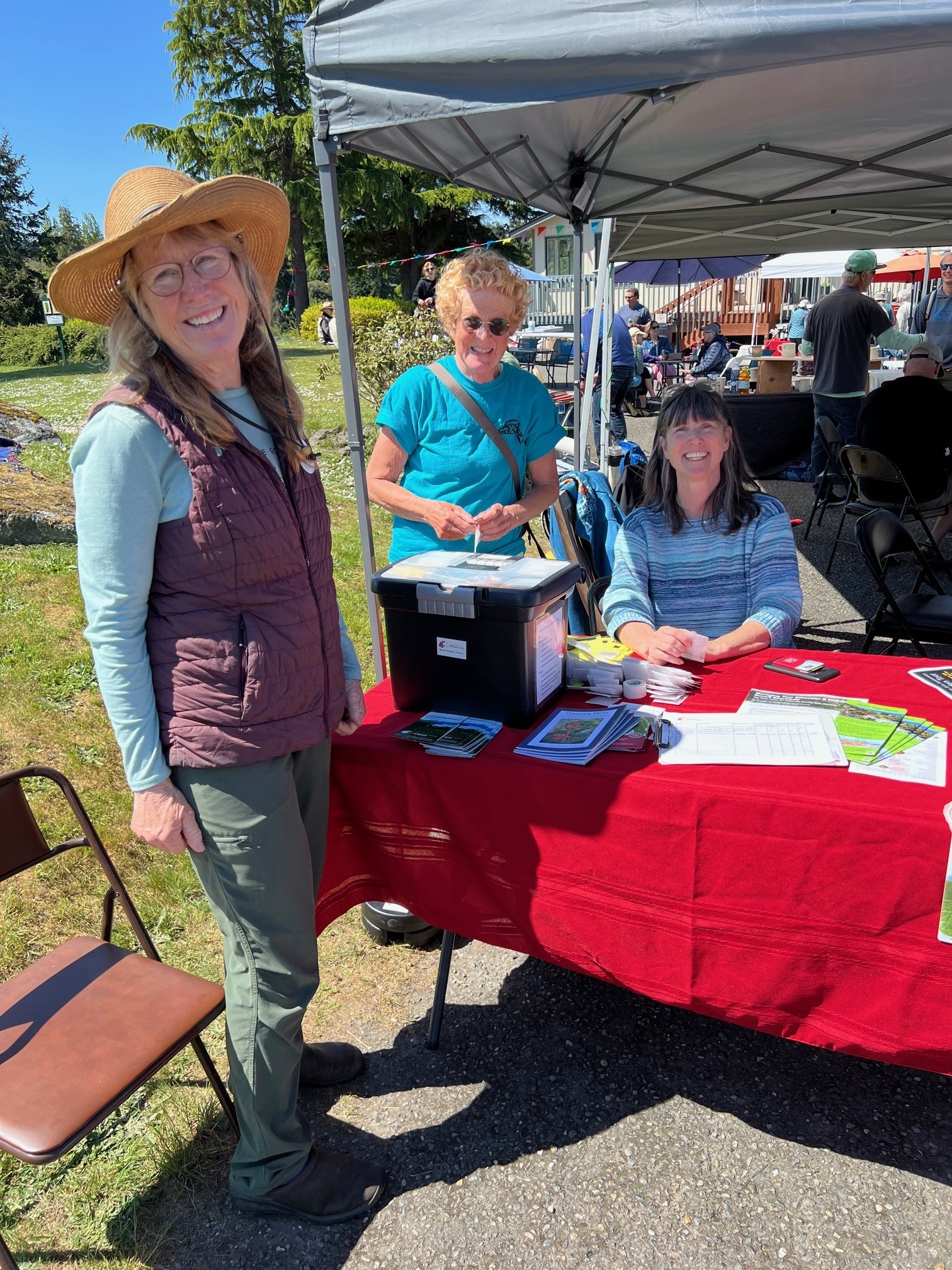 butterfly on a flower.