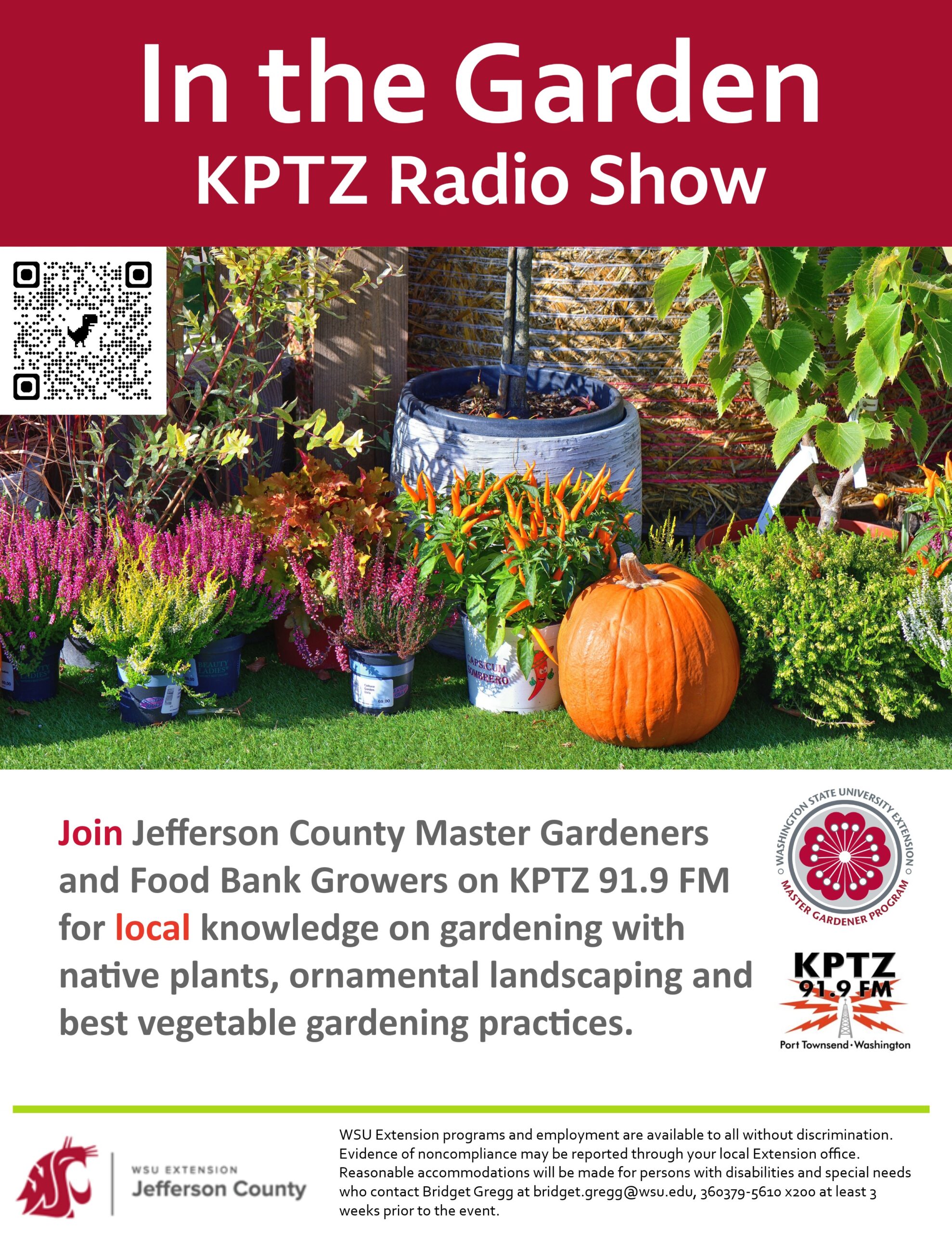 picture of flowers, flower pots and pumpkins together in a garden