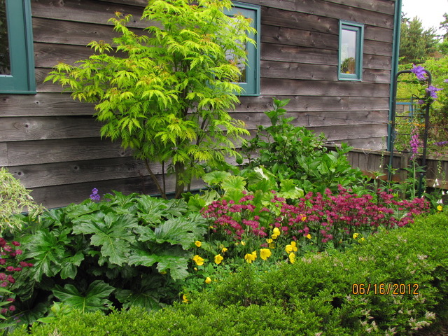 Port Townsend home garden featuring plants with different color and textures alongside a home