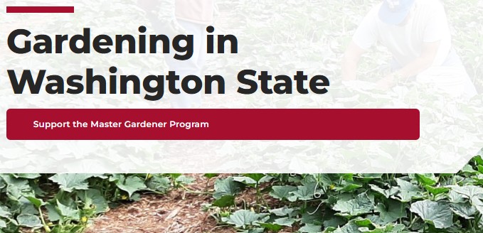 Screenshot of the 'Gardening in Washington State' website hosted by the WSU statewide Master Gardener Program