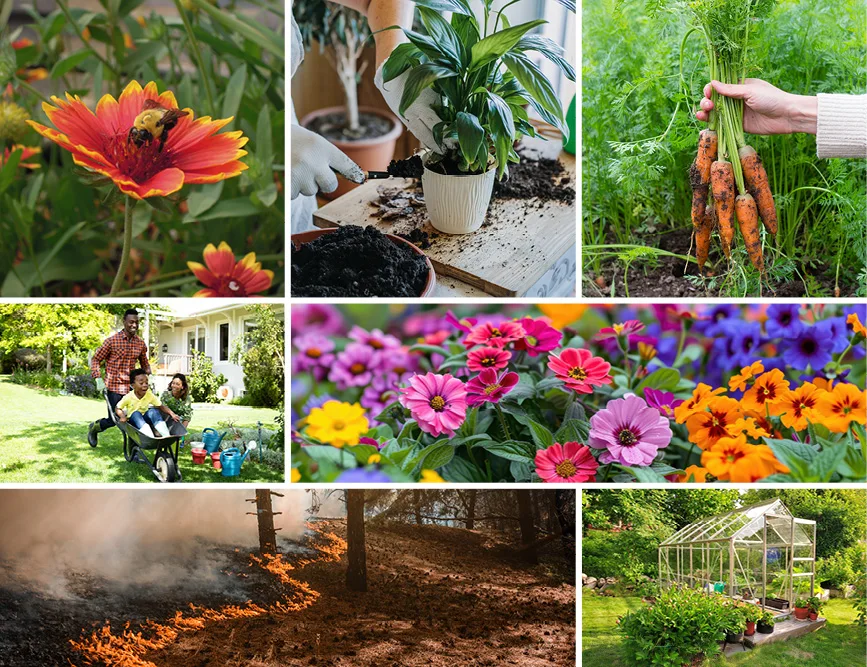 Gardening images