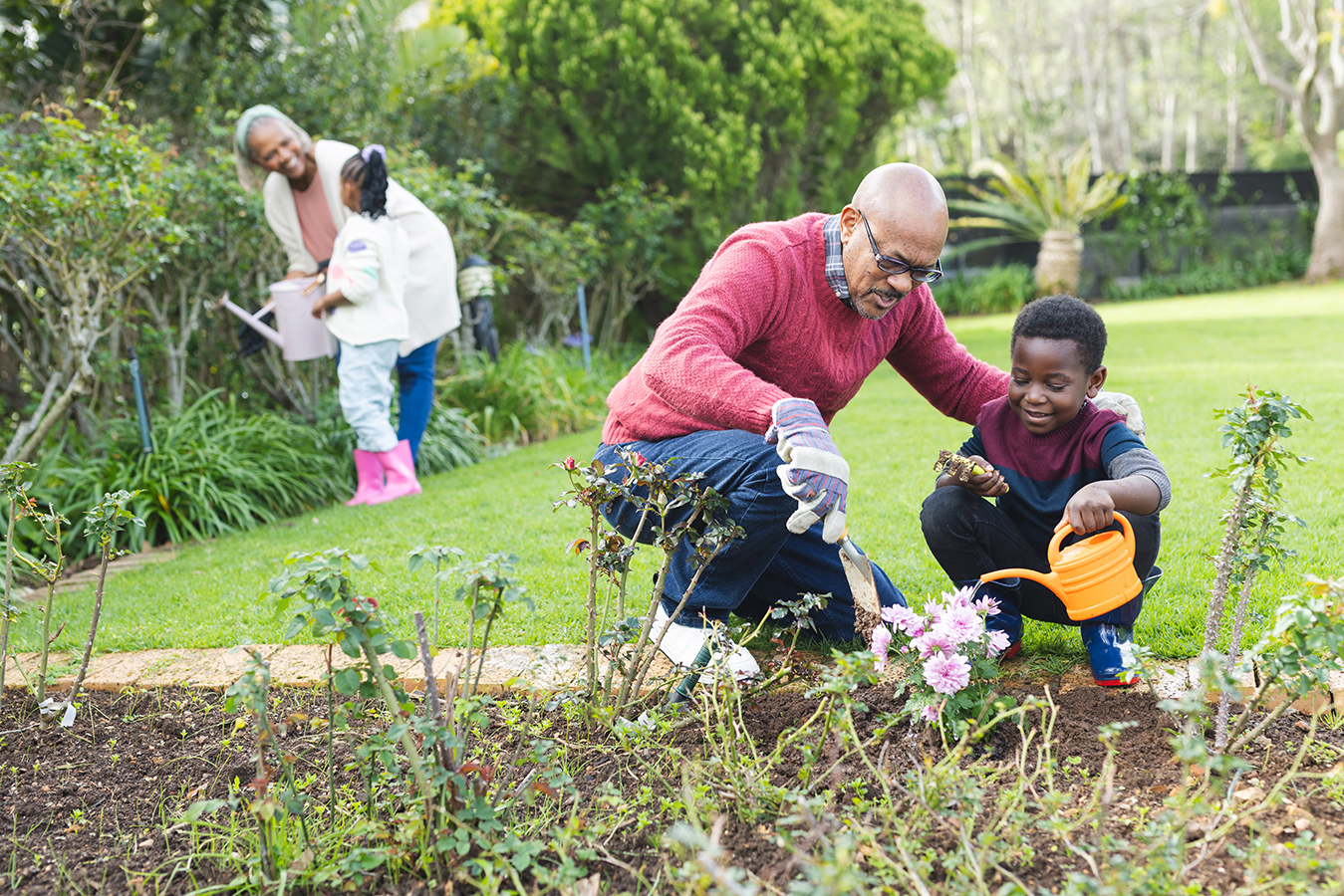 Happy african american grandparents and grandchildren watering plants in sunny garden