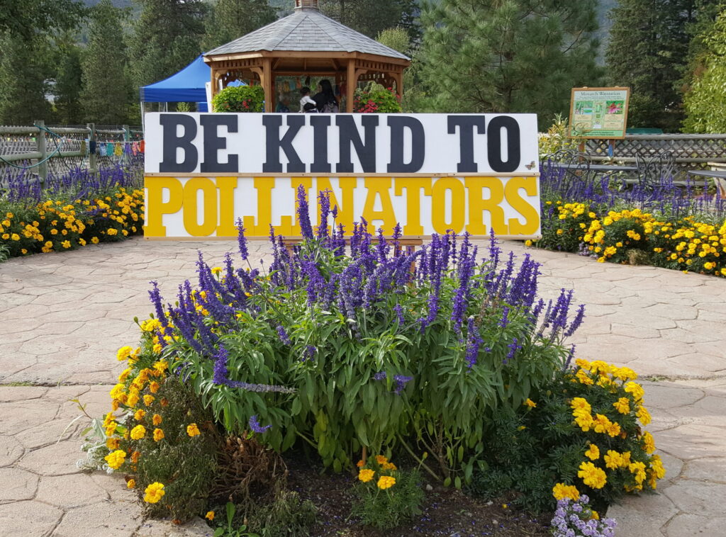 A cluster of flowers surrounded by hardscape. The same flower types also border the hardscape along the edges. People mingle in a gazebo in the background behind a large sign that reads “Be Kind to Pollinators.”