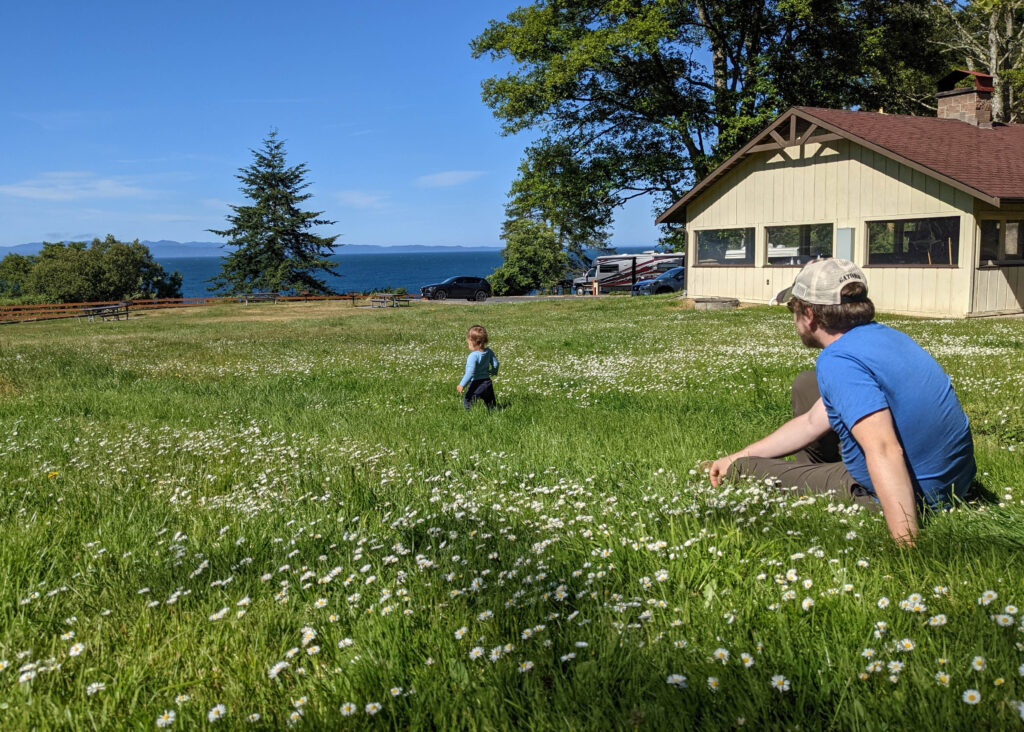 A man watches a toddler who treks through tall fescues and forbs in a green field.