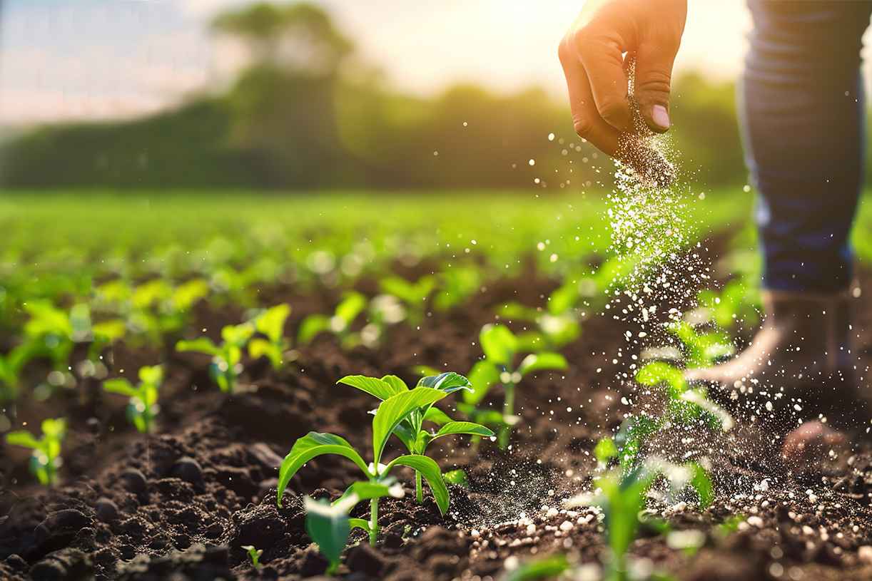 Farmer spreading fertilizer on lush green field, nurturing crops for bountiful harvest.
