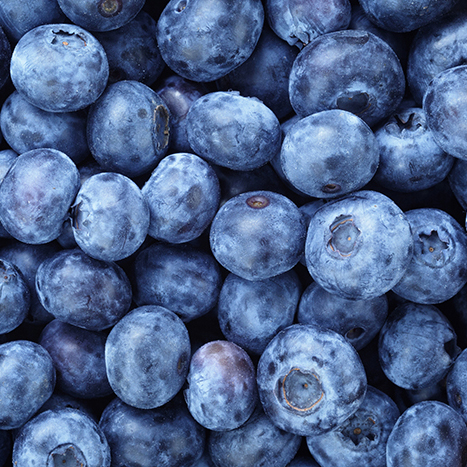 Fresh ripe organic blueberries.