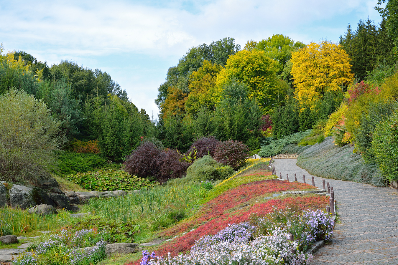 Autumn colors along a park pathway.