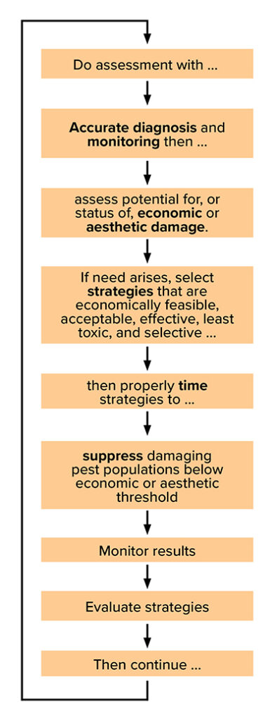 A vertical flowchart showing the steps of an integrated pest management process. “Do assessment with …” “Accurate diagnosis and monitoring then …” “Assess potential for, or status of, economic or aesthetic damage.” “If need arises, select strategies that are economically feasible, acceptable, effective, least toxic, and selective …” “Then properly time strategies to …” “Suppress damaging pest populations below economic or aesthetic threshold.” “Monitor results.” “Evaluate strategies.” “Then continue …” Arrows connect the boxes from top to bottom, looping back from the final step to the beginning, indicating a continuous management cycle.