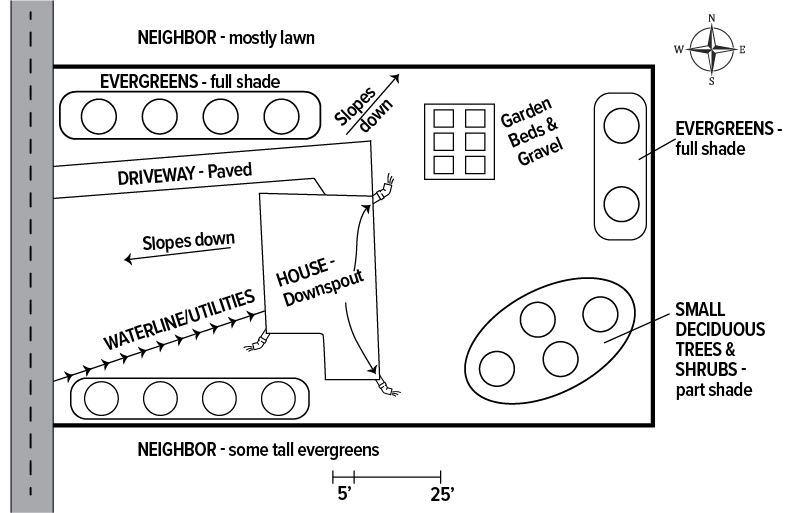 Simple plot plan illustration showing a house, driveway, downspouts, utilities, slopes, garden beds, and surrounding vegetation including evergreens and small deciduous trees and shrubs.
