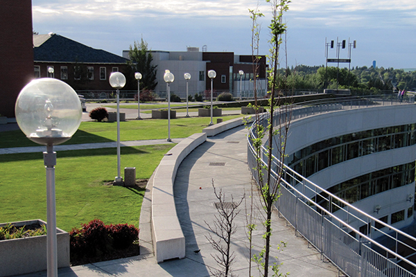 Washington State University’s Holland Library features mixed turfgrass and hardscape rooftop.