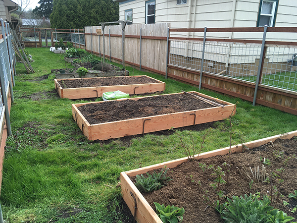 Three side-by-side raised wooden garden beds.