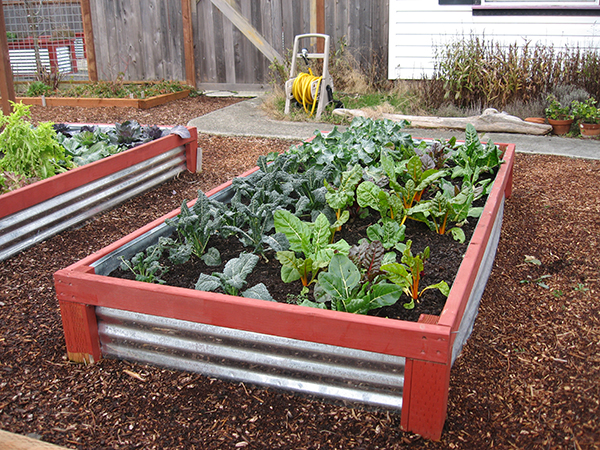 A raised garden bed with corrugated metal siding.