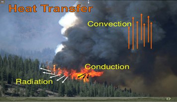 Wildfire burning in a forest with arrows showing heat transfer methods: convection rising upward, conduction through trees, and radiation spreading outward.