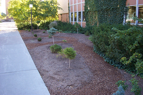 Landscaped area beside a building with trees and shrubs planted in soil and mulch, showing how mulched areas reduce erosion and enhance appearance.