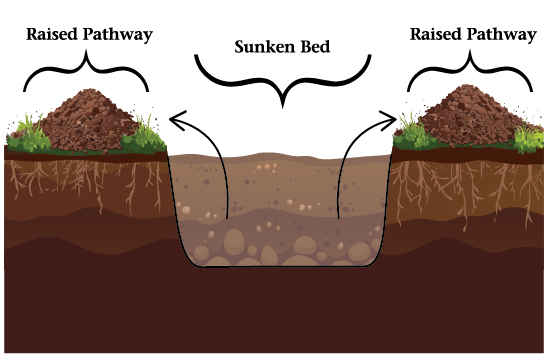 Illustration showing two mounded pathways to either side of a sunken bed that has been dug out.