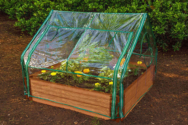 Small raised garden bed covered with a clear plastic cold frame protecting flowering plants from cold and weather.