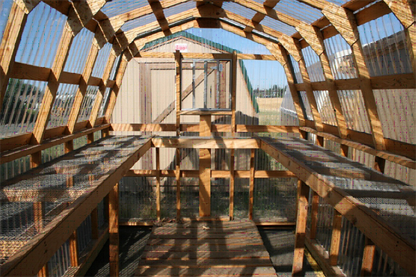 Interior of a hobby greenhouse with wooden framing and raised wooden benches covered with wire mesh for supporting plants.