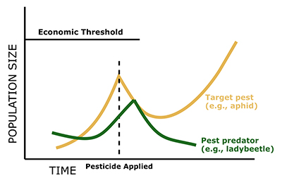 A line graph shows how pesticide use affects populations of a target pest and its natural predator over time. The x-axis represents time, with a vertical dashed line marking when a pesticide is applied. The y-axis shows population size. The target pest (illustrated by a gold line labeled “Target pest [e.g., aphid]”) increases steadily until just before the pesticide is applied, when it peaks slightly below a horizontal line labeled “Economic Threshold.” After the pesticide is applied, the pest population briefly declines but then rebounds and grows rapidly. The pest predator (shown by a green line labeled “Pest predator [e.g., ladybeetle]”) follows a lower curve, rising more slowly, then dropping sharply after pesticide application and remaining low. The figure illustrates how pesticide application can suppress both pest and beneficial predator populations, leading to a later pest resurgence above the economic threshold.