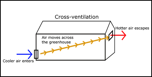 Diagram of greenhouse cross-ventilation showing cool air entering from one side and hot air exiting the opposite side as air moves through the structure.