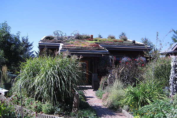 Fig_1.jpg: A hardscaped path through taller ornamentals leads to a small building with a rooftop garden and lawn chairs also atop. 