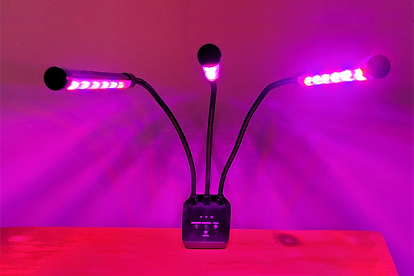 Portable LED grow light lamp with three adjustable arms emitting pink-purple light, used for small plants or seed-starting trays.