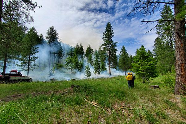 Two firefighters survey a line of smoke adjacent to a patchwork evergreen forest at the base of a slope.