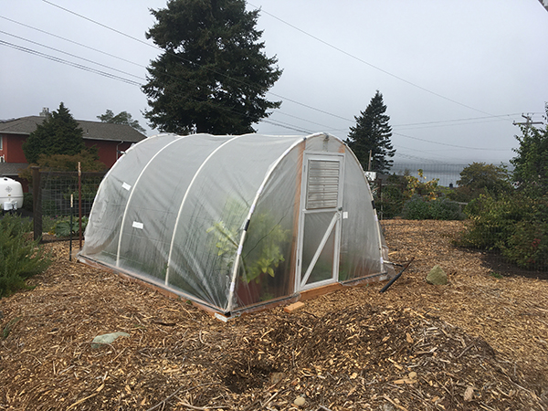 A smaller hoophouse made from PVC and greenhouse-grade, clear plastic.