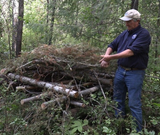Someone stands next to a stacked pile of brush and woody debris.