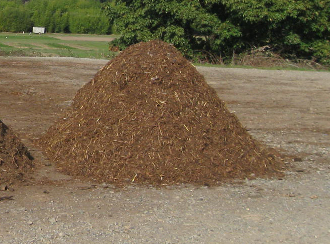 Large pile of tree mulch or wood chips.