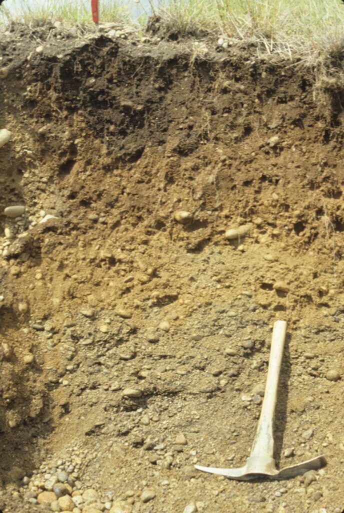 A gouge in a field reveals multiple soil layers. A pick axe can be seen toward the bottom of the hole.