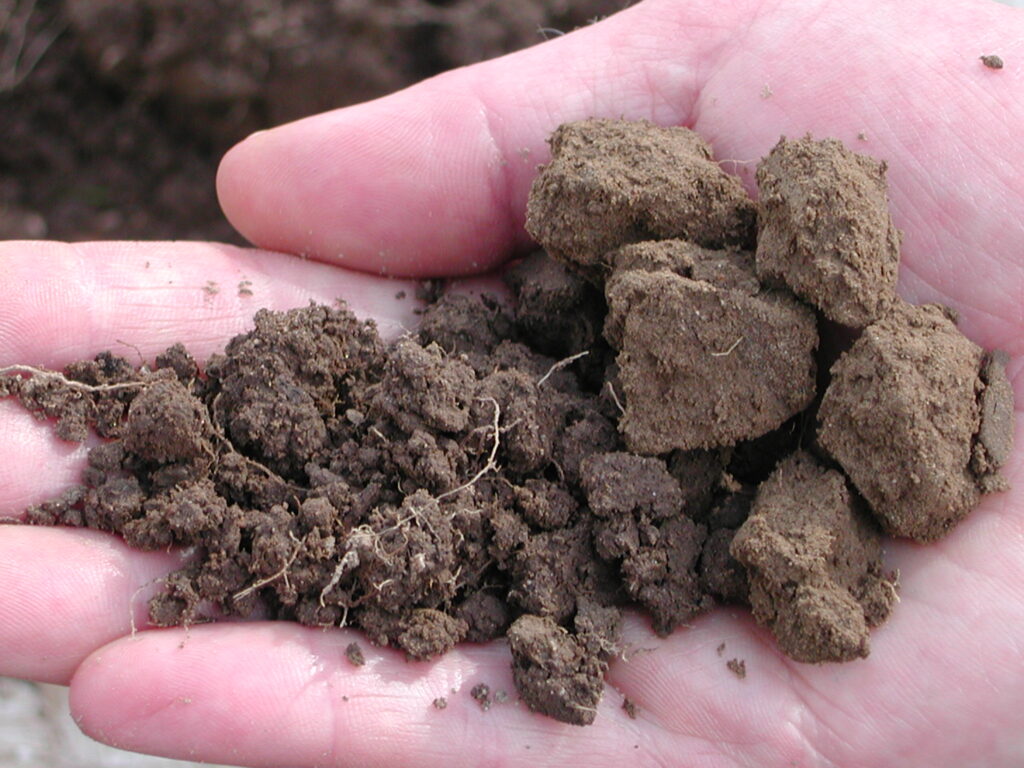 A hand holding granular peds on the left and blocky peds typical of subsoil on the right.