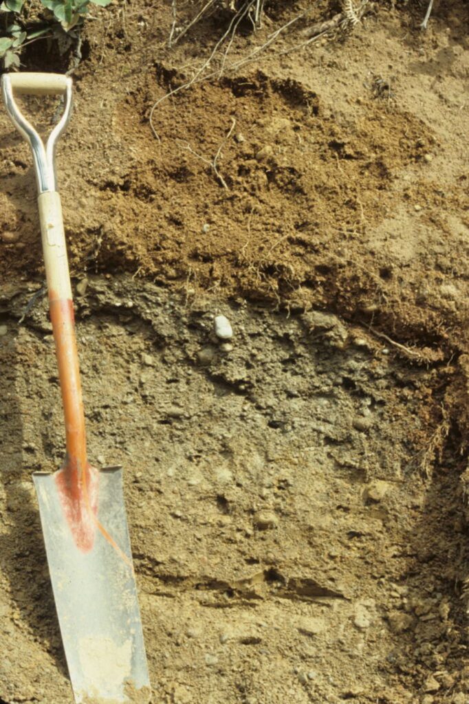Various soil layers in cross-section. A narrow shovel is propped against the cutout.