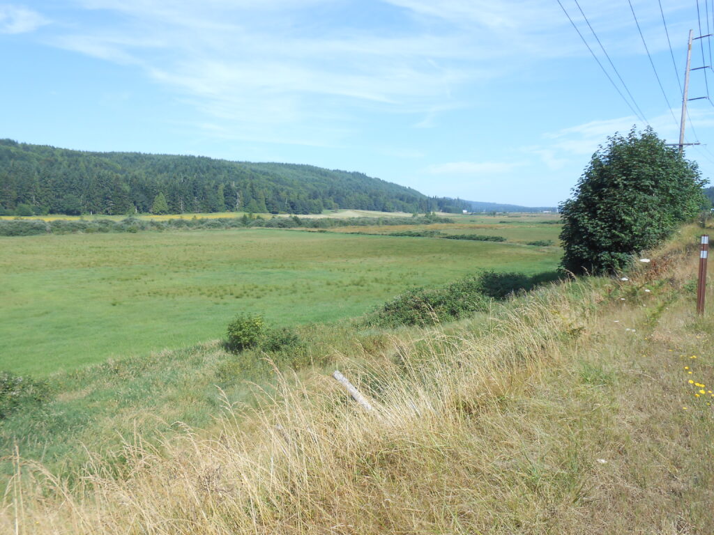 Grassy slope descending into broad, green valley.