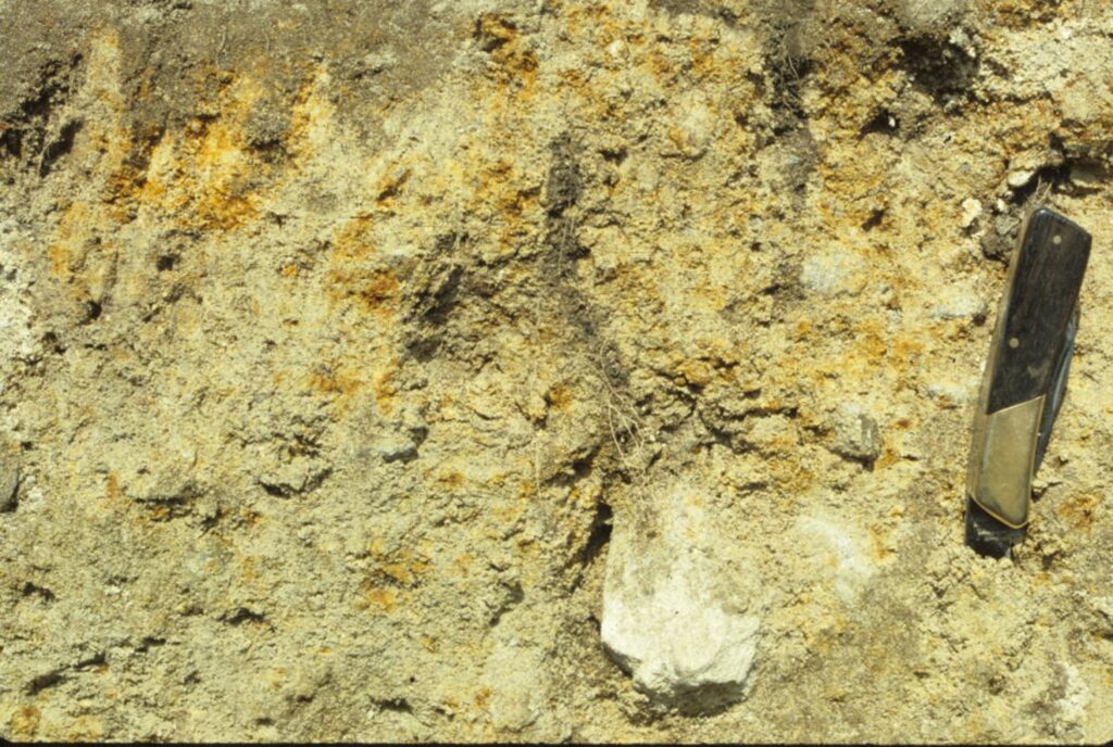 Soil cutout showing light gray, orange soil. A folded knife lays to the side.