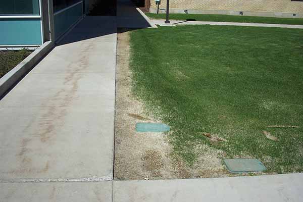 The receding grass alongside a sidewalk leaves a strip of bare soil.