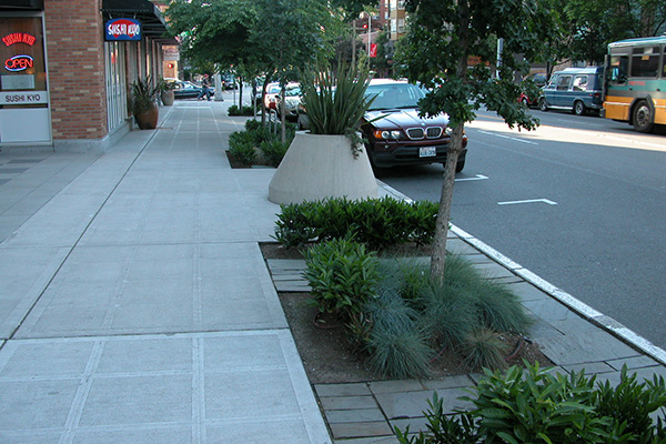 Landscaped trees, shrubs, and grasses grow from rectangular beds between concrete sidewalk and paved street.