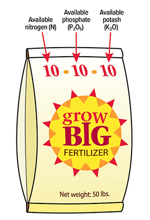 Illustration of a fertilizer bag labeled “grow BIG Fertilizer.” The bag shows the numbers 10-10-10, representing equal amounts of nitrogen (N), phosphate (P₂O₅), and potash (K₂O). Arrows point to each number with labels for available nitrogen, phosphate, and potash. Net weight is listed as 50 lbs.