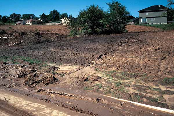 Spiderwebbing, small rivulets run through bare soil downhill from a new development.