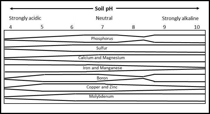 Chart showing nutrient availability in soil across pH levels from 4 to 10.