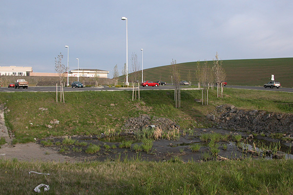 A depression in the landscape with pooling water.
