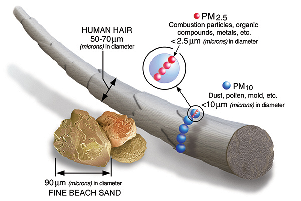 Illustration comparing the relative sizes of fine beach sand, a human hair, and particulate matter (PM). At the bottom left, three grains of fine beach sand are shown, labeled as about 90 microns (µm) in diameter. A large strand of human hair extends diagonally across the image, labeled as 50–70 µm in diameter. Overlaid on the hair are two groups of circles representing particulate matter. Blue circles represent PM10 (dust, pollen, mold, etc.) which are less than 10 µm in diameter. Inside one PM10 circle, smaller pink circles represent PM2.5 (combustion particles, organic compounds, metals, etc.), which are less than 2.5 µm in diameter. Labels and arrows point to each object, highlighting how much smaller PM2.5 and PM10 are compared to human hair and sand.