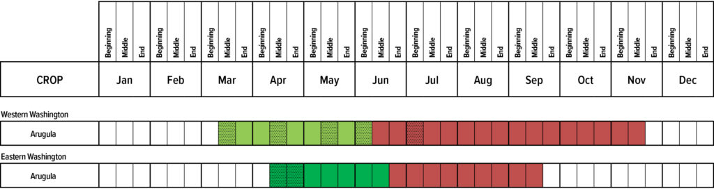 Suggested planting calendar for Arugula.