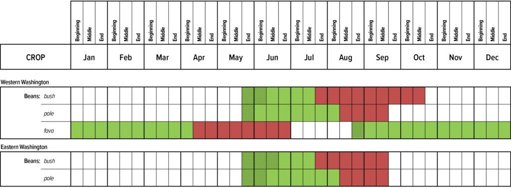 Suggested planting calendar for Beans.