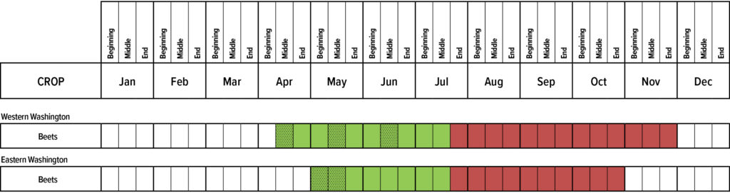 Suggested planting calendar for Beets.